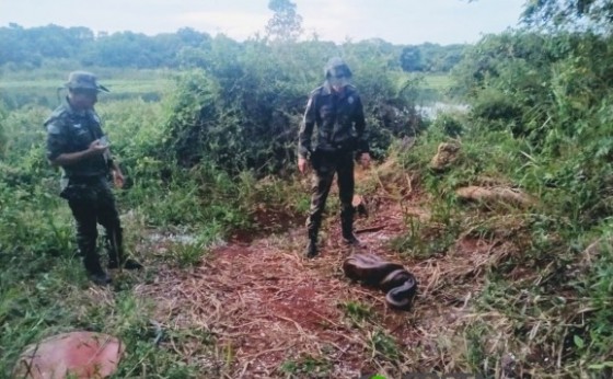 Cobra sucuri capturada em Guaíra é solta no Refúgio Biológico de Santa Helena