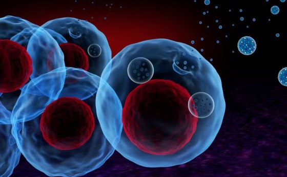 Como molécula que circula no sangue pode identificar câncer em estágio inicial