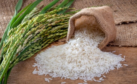 Compra de arroz importado pode demandar R$ 4 bilhões