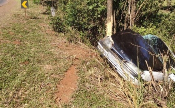 Condutor embriagado colide veículo contra árvore na PR-497, em Missal