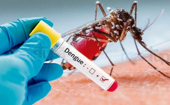 Confirmados os primeiros casos de dengue em Missal