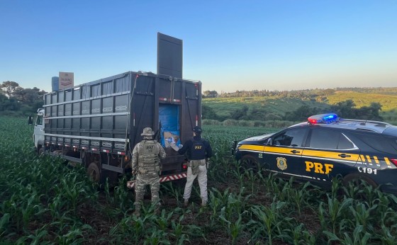 Contrabandista ouve sirene, não para e joga caminhão em plantação