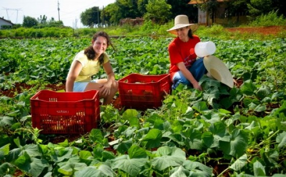 Cresce o número de propriedades certificadas no Oeste do Paraná para a produção de  orgânicos