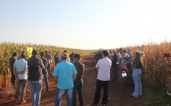 Cresol Missal lança Plano Safra 23/24 em dia de campo