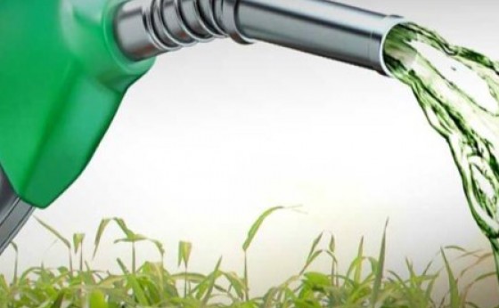 Decreto regulamenta compra e venda direta de etanol em postos de combustíveis