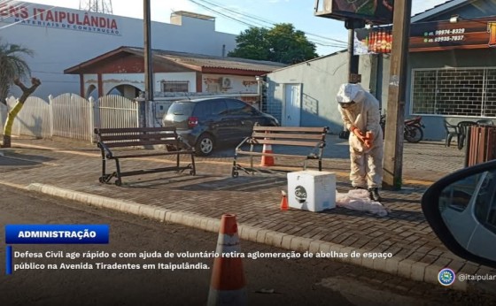 Defesa Civil age rápido e retira aglomeração de abelhas de espaço público  em Itaipulândia