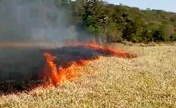 Defesa Civil de Missal atua para combater focos de incêndio na última terça-feira