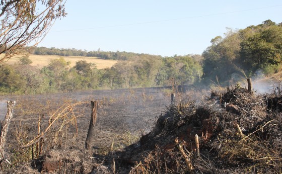 Defesa Civil de Missal combate incêndio próximo a Vista Alegre