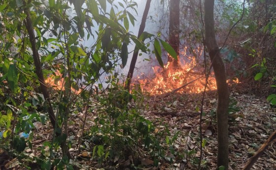 Defesa Civil de Missal tem atuado no combate a incêndios ambientais
