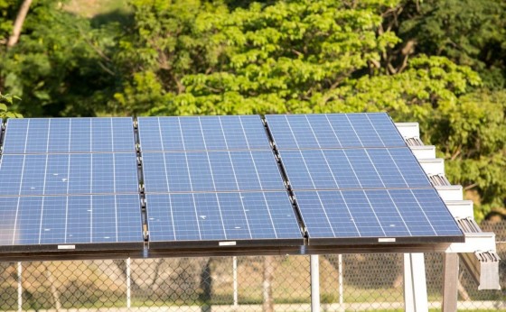 Em projeto pioneiro, Paraná vai instalar painéis solares em 246 prédios públicos