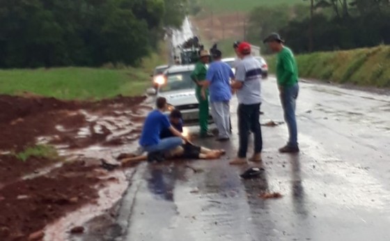 Homem é atropelado na PR 495, e fica em estado grave