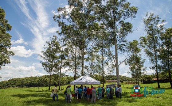 IDR-Paraná organiza Tarde de Campo de Pecuária Leiteira em Missal