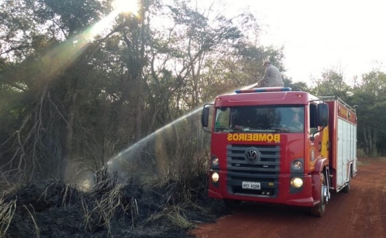 Incêndio atinge reserva ambiental em Itaipulândia