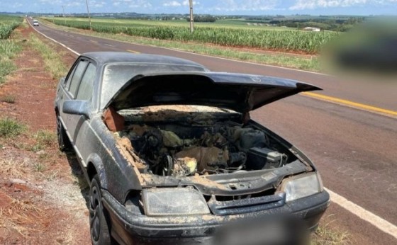 Incêndio em automóvel mobiliza Corpo de Bombeiros na PR-495 entre Santa Helena e Missal