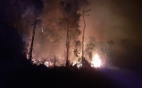 Incêndio na divisa dos municípios de Missal e Ramilândia entra madrugada a dentro