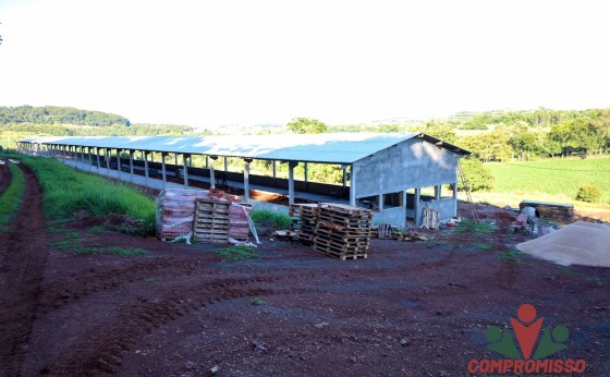 Incentivos de Programas da Suinocultura em Missal atraem investimentos para o município