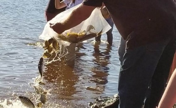Itaipu solta peixes marcados para monitorar migração no Rio Paraná