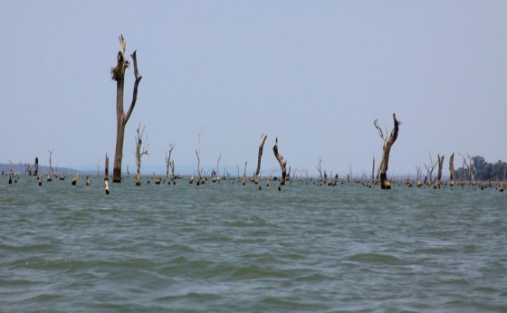 Lancha com quatro pessoas vira no Lago de Itaipu