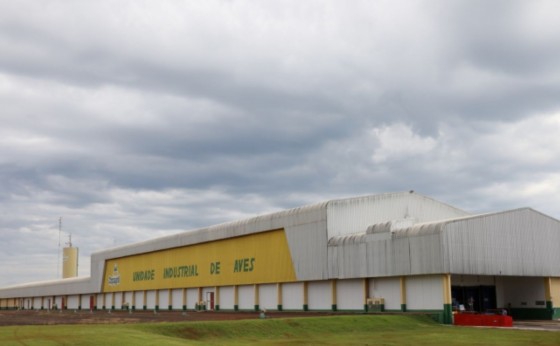 Lar Cooperativa agora tem quatro frigoríficos de aves