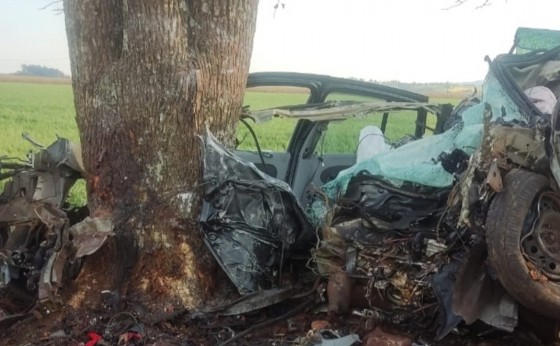 Medianeira: Motorista morre após colidir com veículo em árvore na PR 495