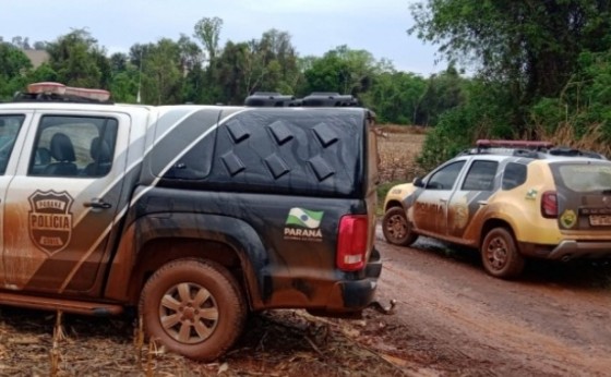 Medianeira: Ossada é encontrada ao lado de estrada rural