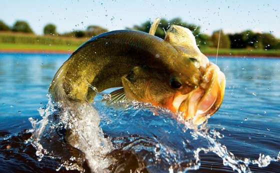 Ministério Público intervém para que Torneio de Pesca não seja realizado em Itaipulândia