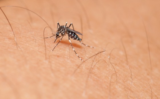 Missal chega a 100 casos positivos de dengue