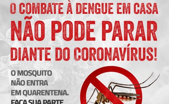 Missal confirma 249 casos positivos de dengue no ano