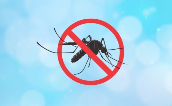 Missal está com 134 casos de dengue desde o início do ano
