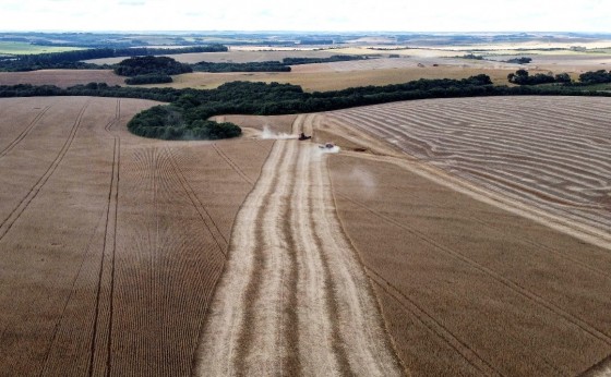 Missal está entre as 34 cidades do Paraná com Valor Bruto de Produção Agropecuária acima de R$ 1 bi