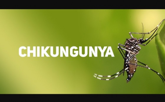 Missal registra caso positivo de Chikungunya