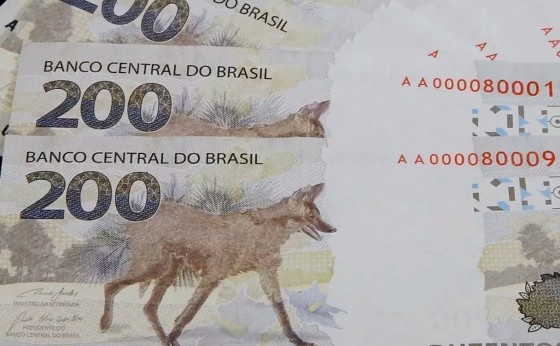 Nota de R$ 200: um ano depois do lançamento, lobo-guará está desaparecido