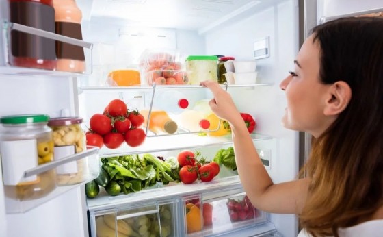 O verão e a importância da refrigeração para a garantia da saúde