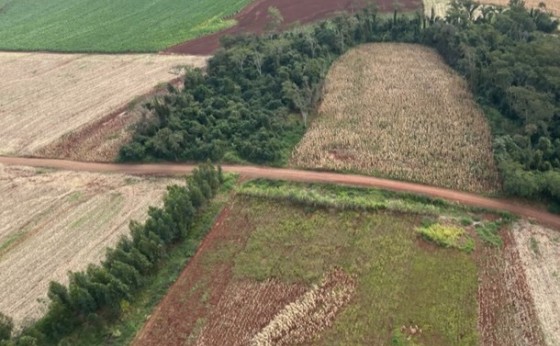 Operação do IAT identifica 17 hectares de desmatamento ilegal em Missal e outros municípios do Oeste