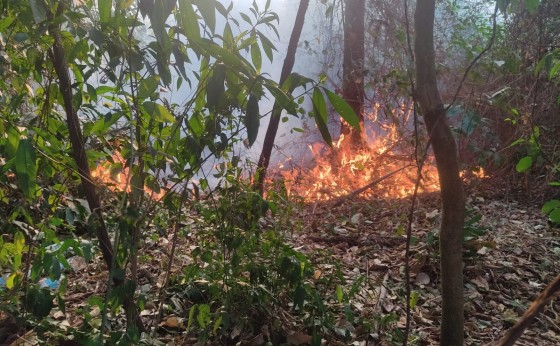 Órgãos de Fiscalização tem recebido diversas denúncias de incêndios ambientais em Missal
