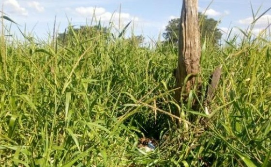 Ossada humana é encontrada por pescador na beira do Lago de Itaipu