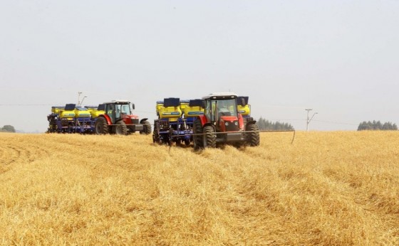 Paraná prorroga prazo para o plantio da soja