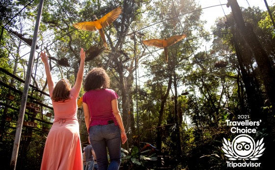 Parque das Aves recebe o prêmio Traveller’s Choice 2021, do TripAdvisor