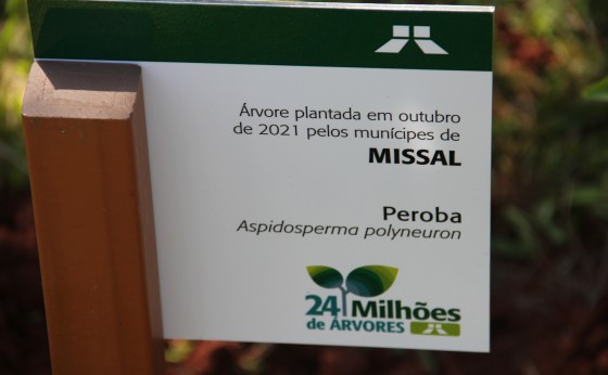 Peroba foi a árvore escolhida em Missal para o plantio Simbólico da Campanha 24 Milhões de Árvores