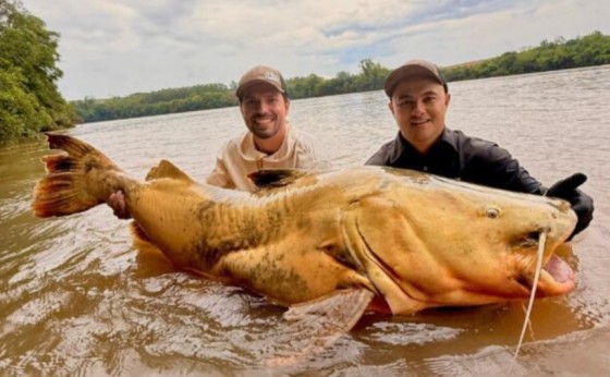 Pescador captura jaú de quase 100 kg no Rio Ivaí