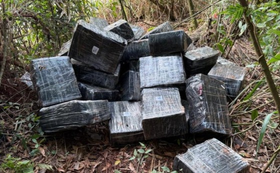 PF e PM apreendem quase 1 tonalada de maconha em Itaipulândia