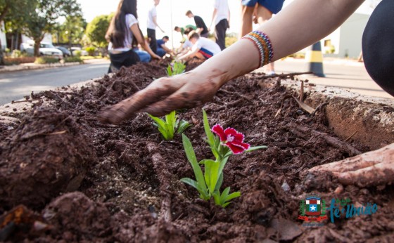 Plantio de flores e distribuição de mudas de árvores nativas marcam o dia  da árvore em Missal