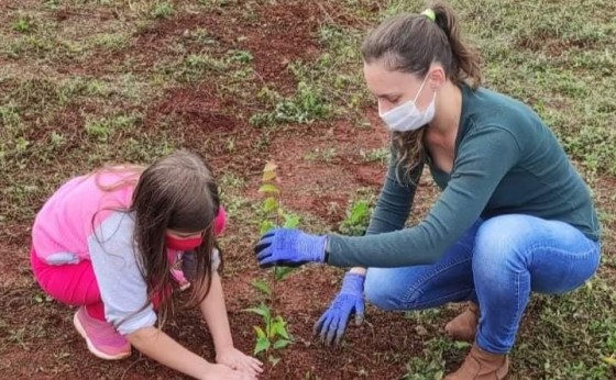 Plantio de mudas de Árvores nativas e Frutíferas ocorre próximo ao Lago Municipal