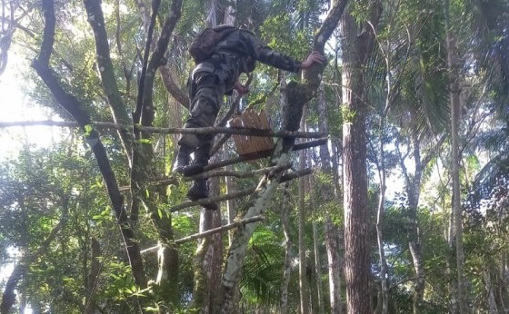 Polícia Ambiental localiza acampamento e quatro locais de caça em São Miguel do Iguaçu