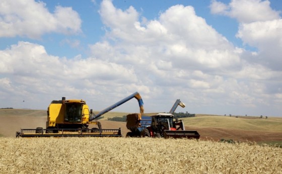 Safra de grãos do Paraná deve alcançar 23,4 milhões de toneladas