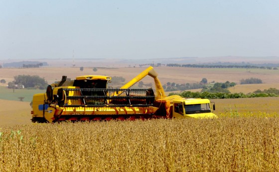 Safra de verão deverá chegar a 24,3 milhões de toneladas