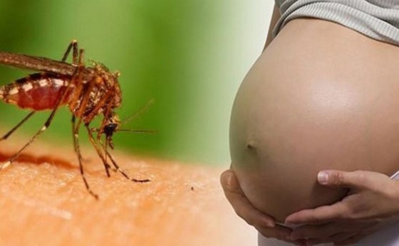 Saúde de São Miguel monitora caso suspeito de Zika Vírus no município