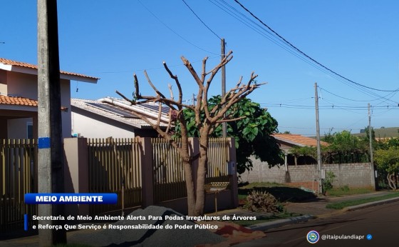 Secretaria de Meio Ambiente Alerta Para Podas Irregulares de Árvores em Itaipulândia
