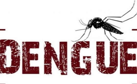 Setor de Endemias de Missal comemora 50 dias sem novos casos de dengue