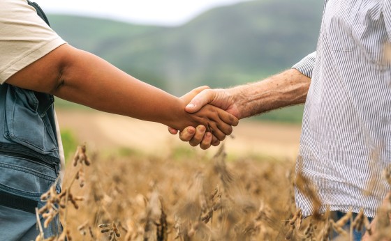 Sicredi antecipa atuação no Plano Safra e reforça compromisso com o agronegócio